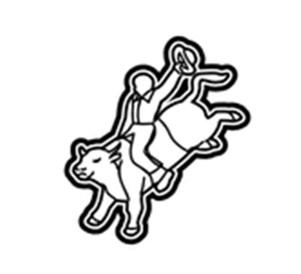 FFA/Rodeo-Bull Rider