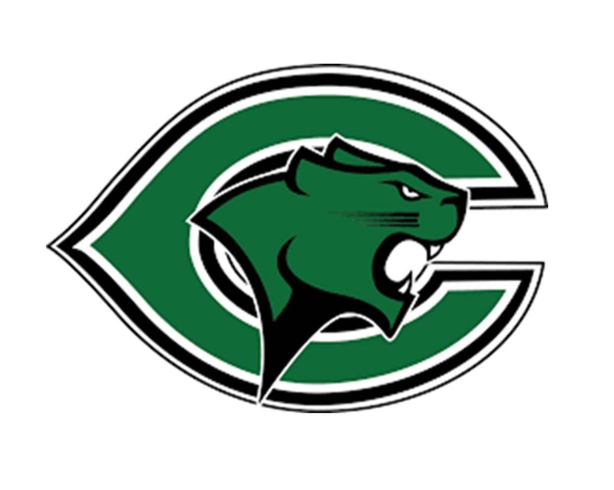 Mascot-Connally Cougar