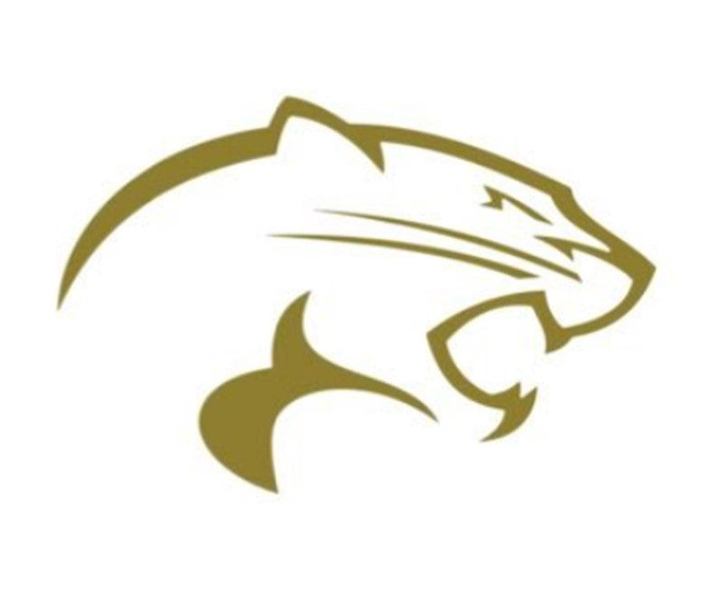 Mascot-Crockett Cougar