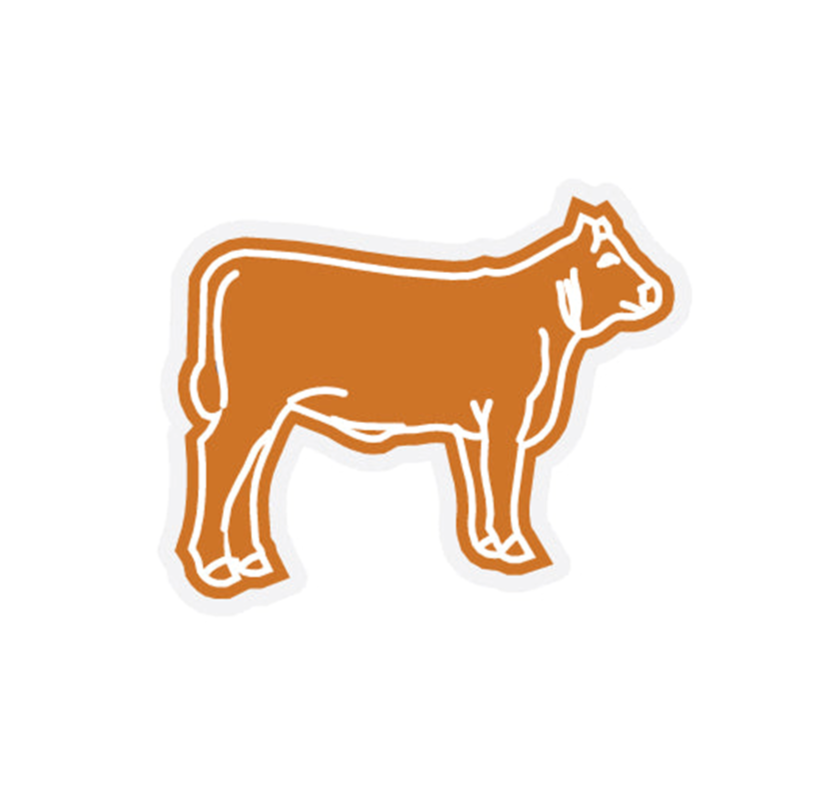 FFA/Rodeo-Heifer/Steer