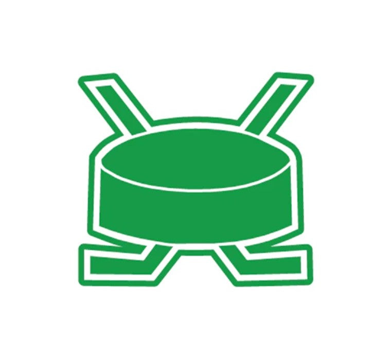 Athletics-Hockey Puck with Sticks