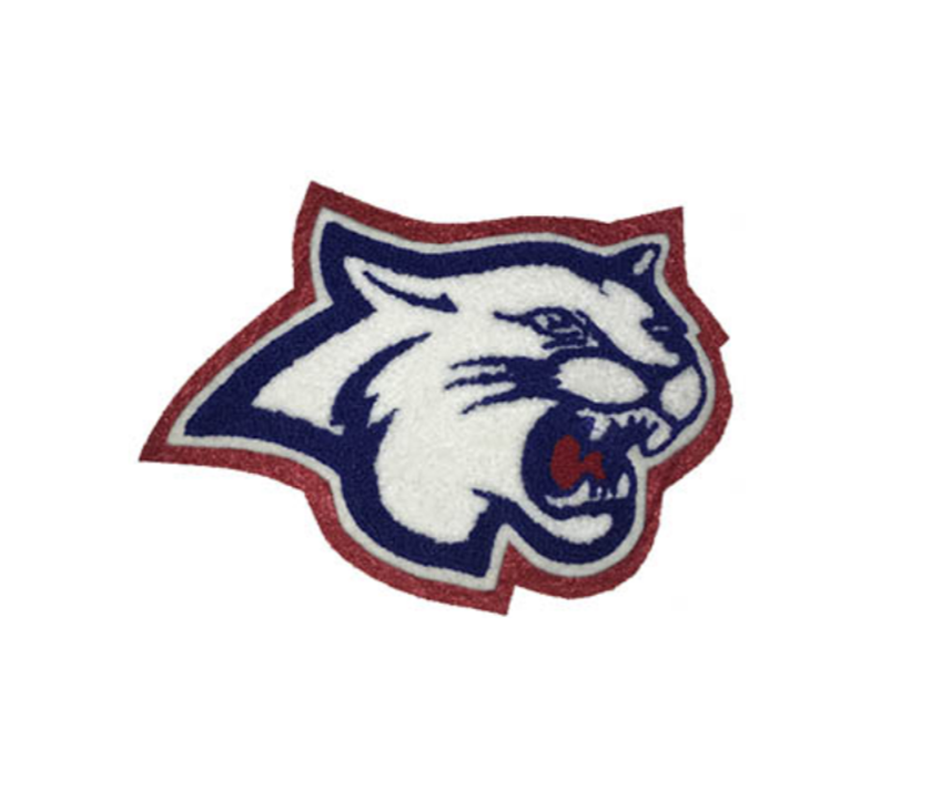 Mascot-Temple Wildcat