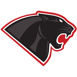 Mascot-Hyde Park Panther