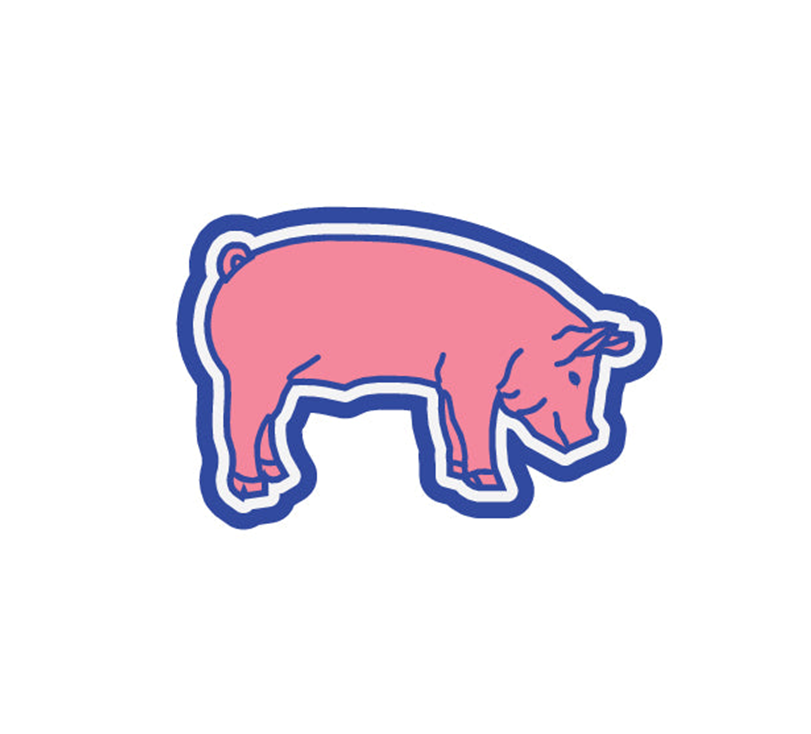 FFA/Rodeo-Pig