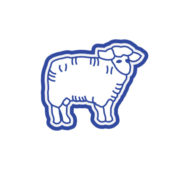 FFA/Rodeo-Sheep
