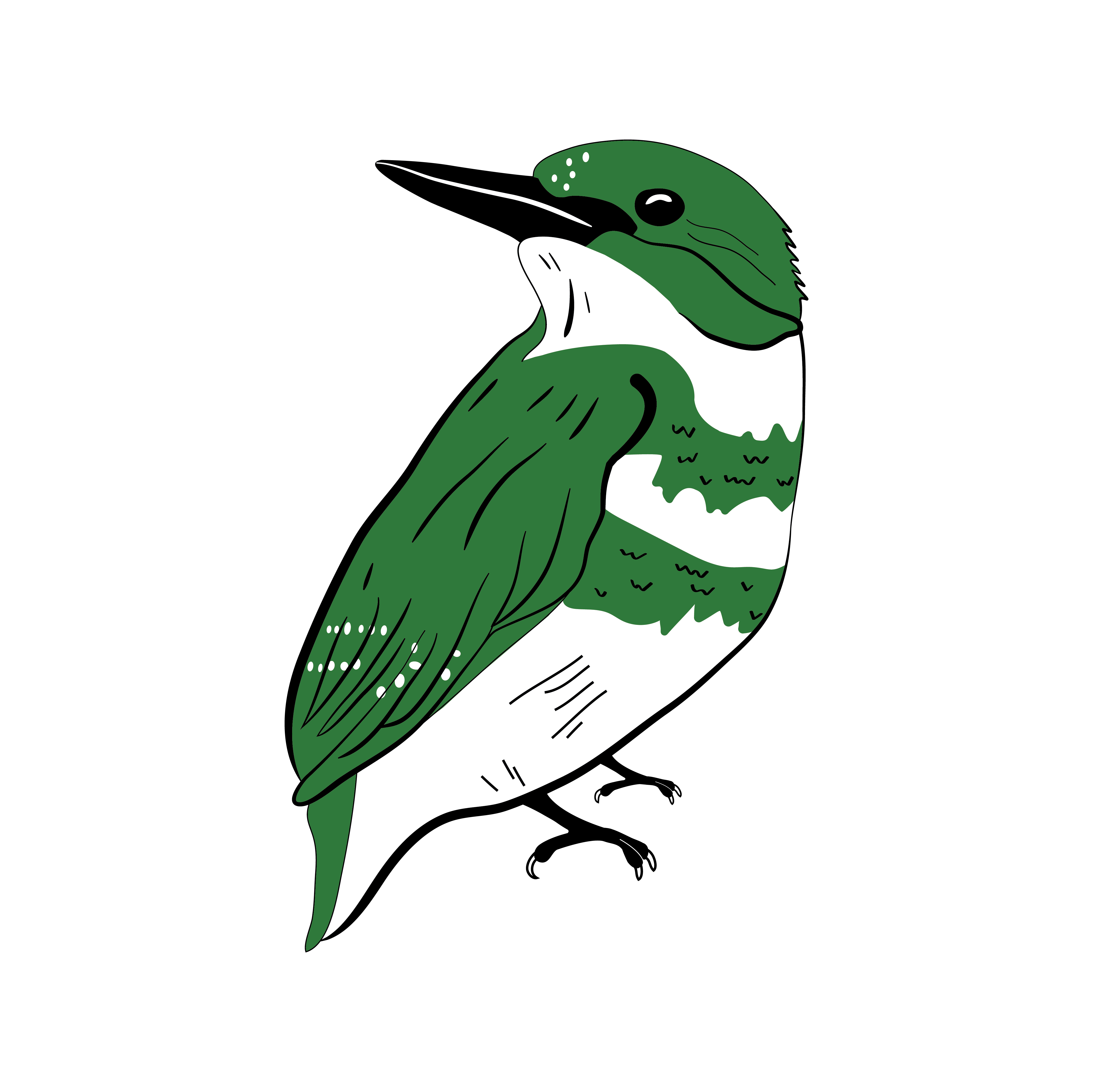 Mascot-Valor Kyle Kingfisher