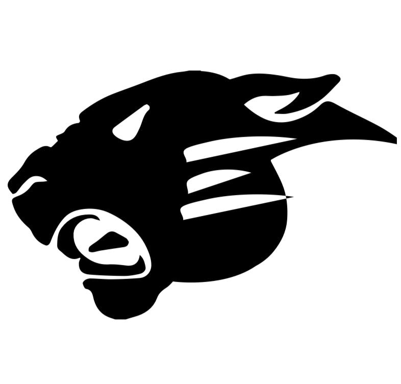 Mascot-Eastside ECHS Panther