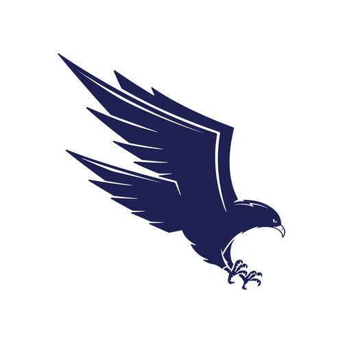 Mascot-Valor South Falcon