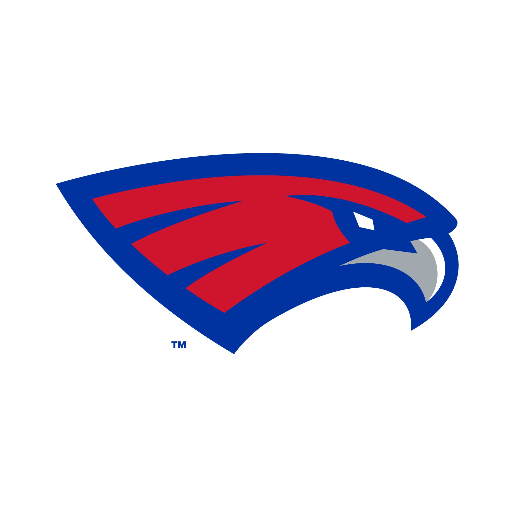 Mascot-Hays Hawk