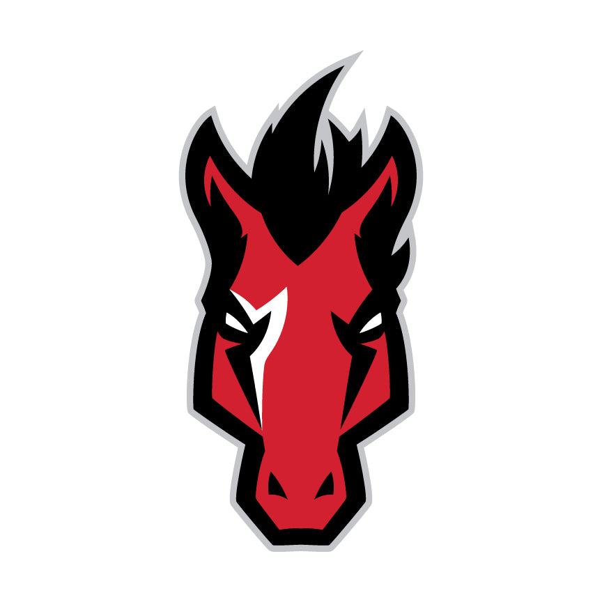Mascot-Manor Mustang