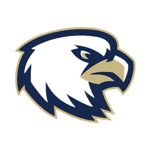 Mascot-Akins Eagle