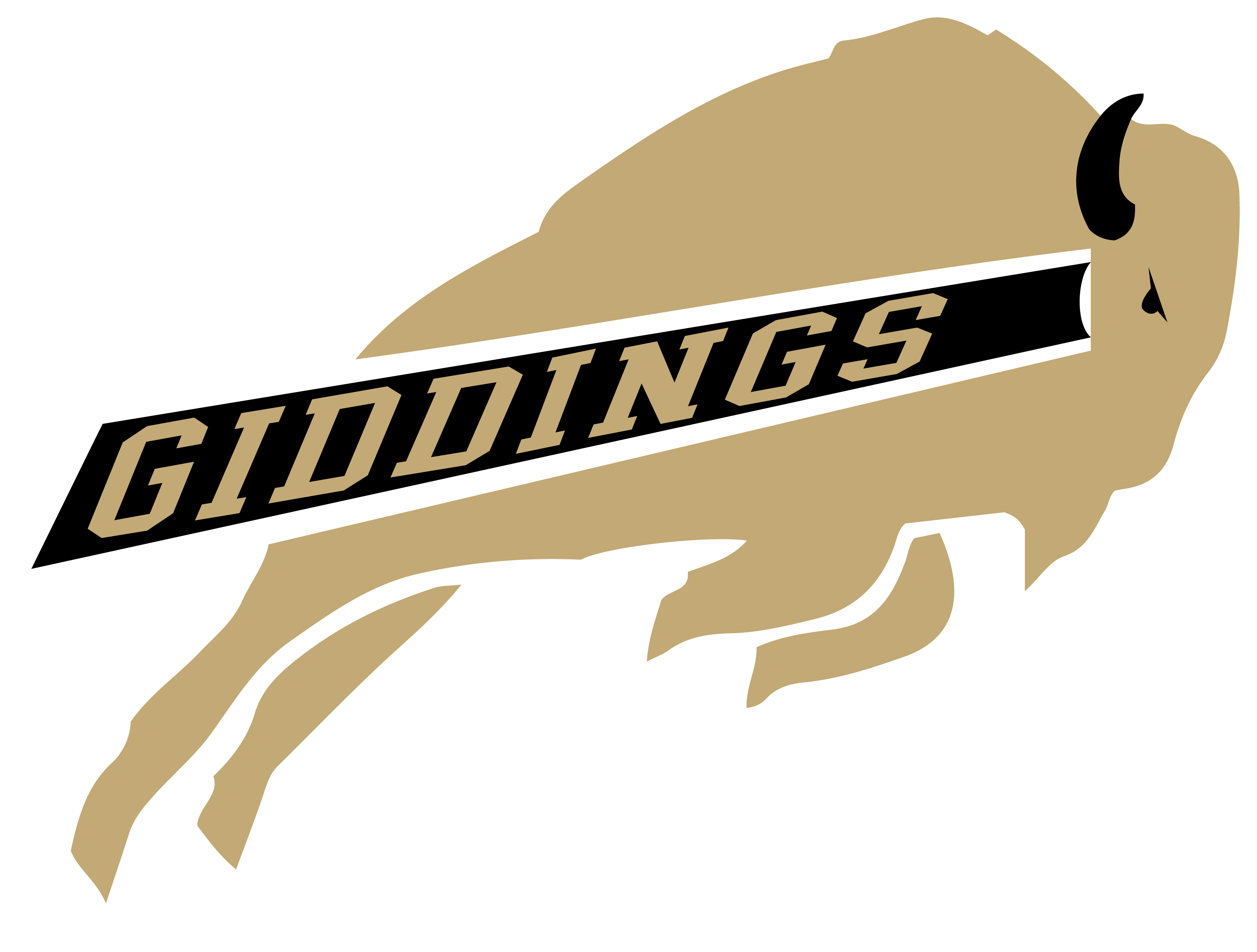 Mascot-Giddings Buffalo