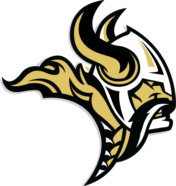 Mascot-Navarro Viking